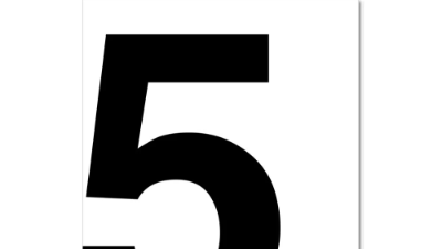 Article 5